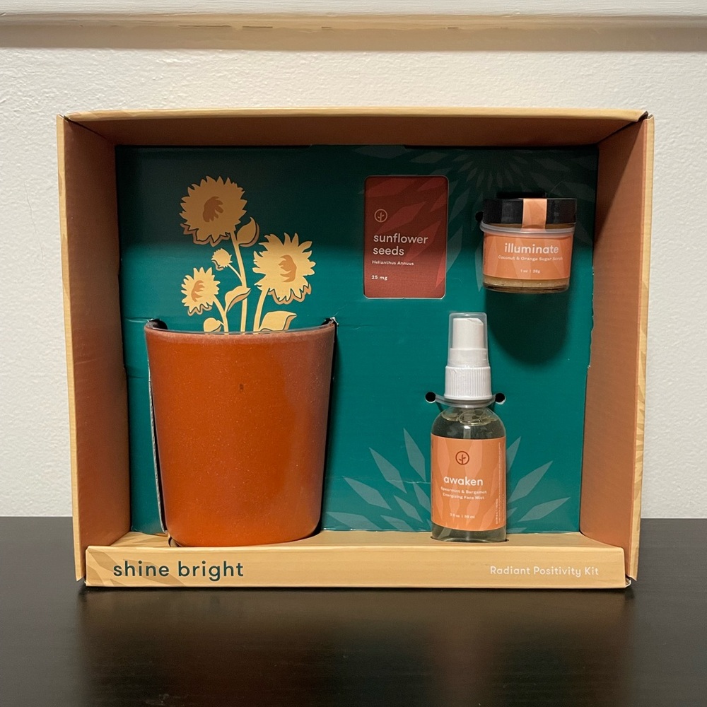 Modern Sprout Shine Radiant Positivity Kit Grow Sunflower Pot Face Mist Scrub